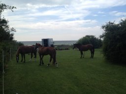 IMG_1371_web